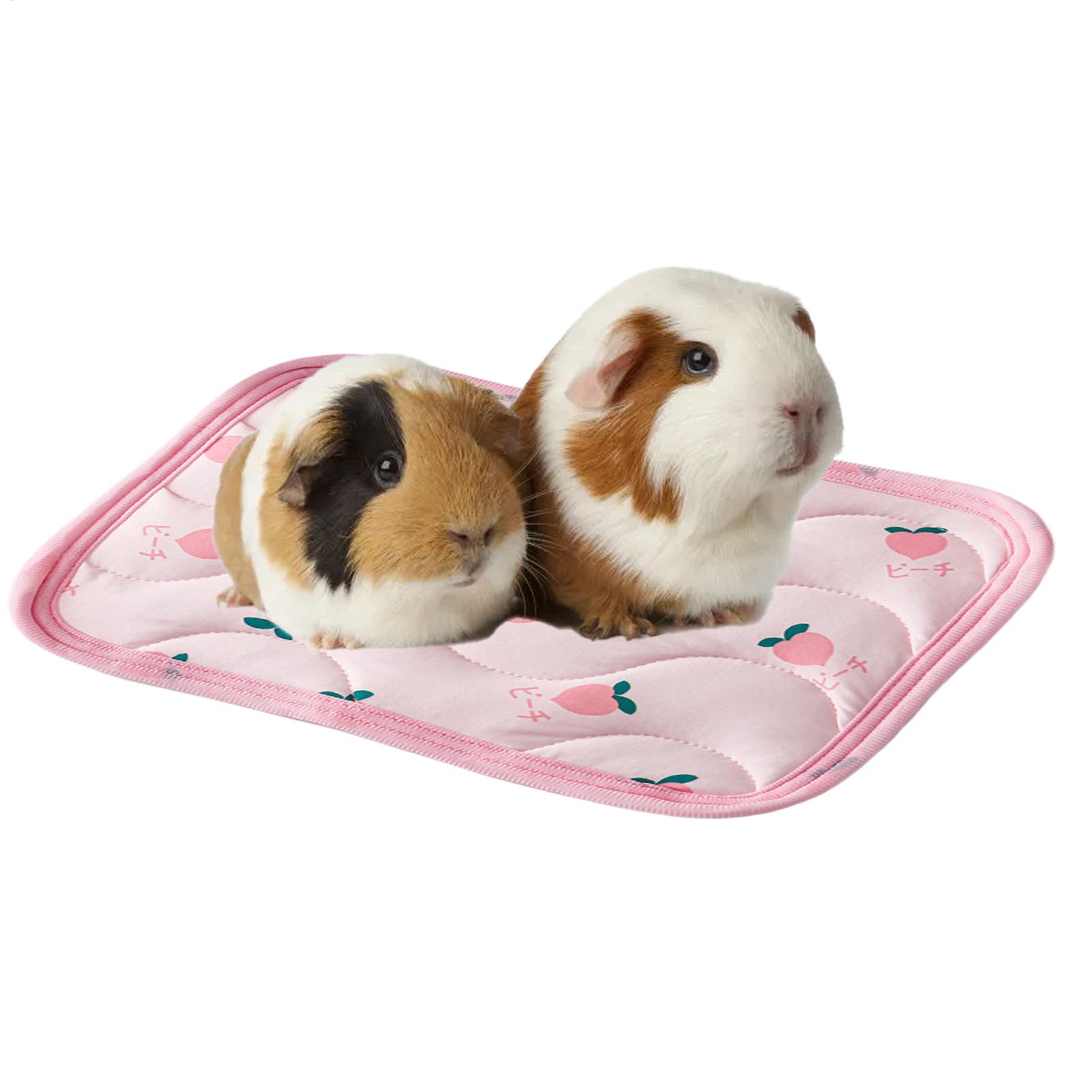 Tapete Refrescante para Animai - Outdoor Camping Dog Kennel avaliação e preço