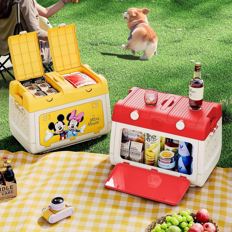Caixa de Armazenamento para Ca - Outdoor Camping Folding Storage Box avaliação e preço