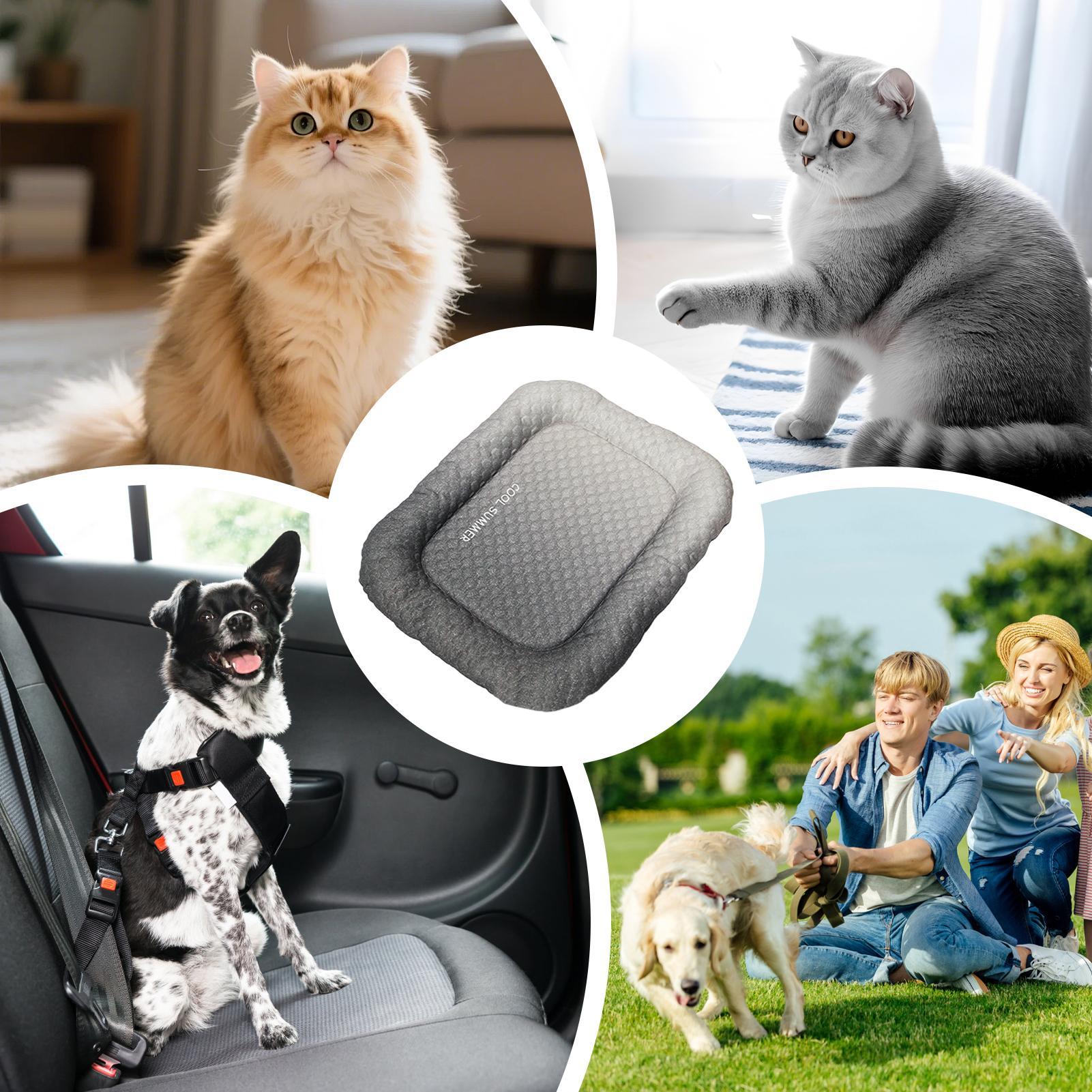 Tapete Refrescante Portátil An - Outdoor Camping Dog Kennel avaliação e preço