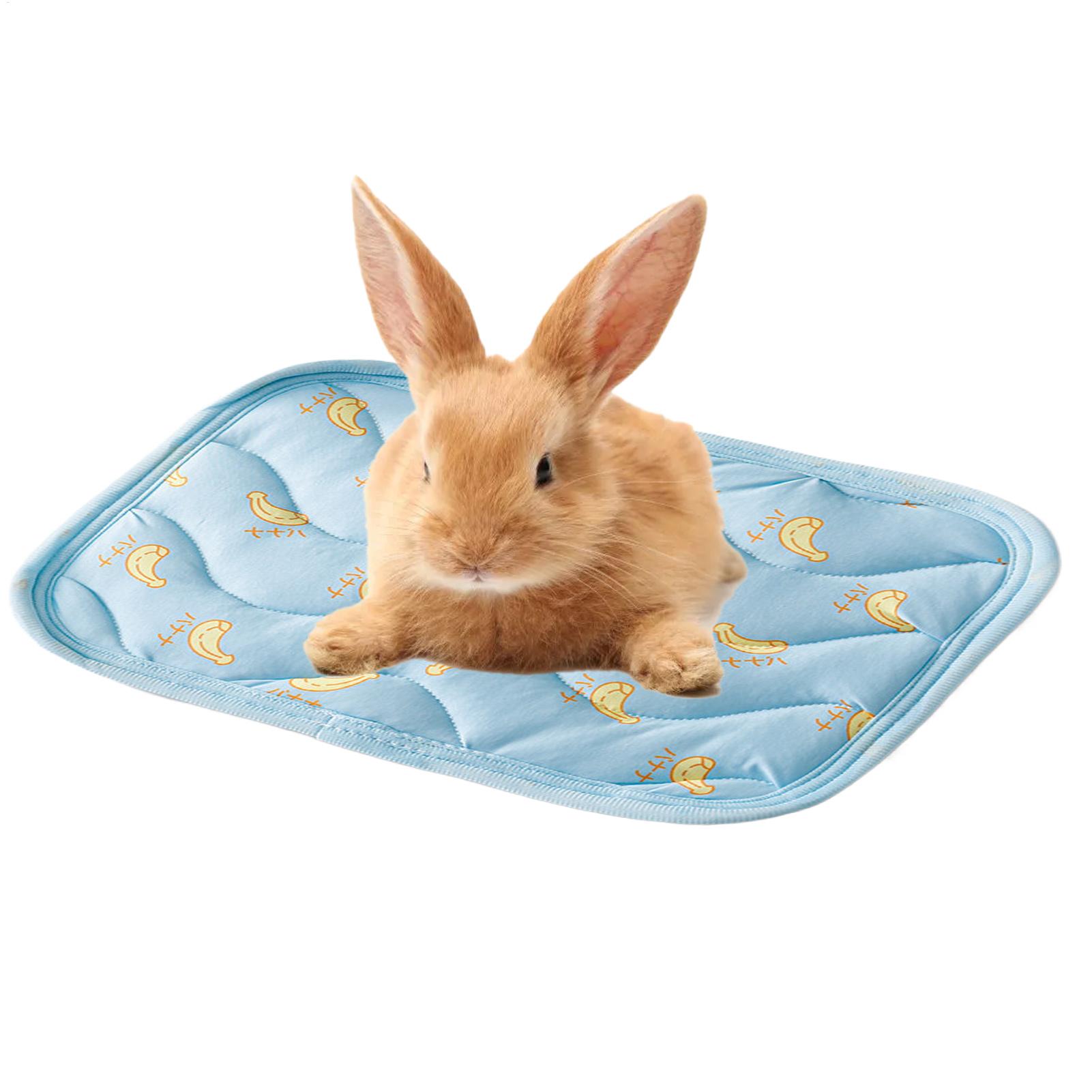 Tapete de Resfriamento Portáti - Outdoor Camping Dog Kennel avaliação e preço